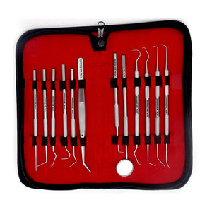 Kit d'hygiène buccale professionnel pour le nettoyage dentaire – Outils en acier inoxydable : cure-dents, miroir, pinces, détartreurs pour éliminer la plaque et les taches de tartre - Product Image 3