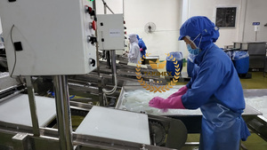 เจลมะพร้าวแบบแห้งสำหรับชงชาดิบบีบอัดแบบแท่ง Nata de COCO - Product Image 5