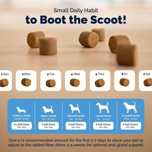 Boot the Scoot Anal Gland Soft Chews for Dogs Peanut Butter & Chicken Flavors Grain-Free with Pumpkin Seed for Digestive Health - Product Image 3