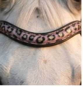 Al por mayor: Brida de cuero de caballo Rub International 7860B cómoda con cristales y pedrería, colores y tamaños personalizados, OEM - Product Image 3