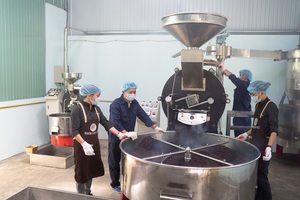 HANCOFFEE Productor Fabricante de Nueva Llegada Mejor Precio Vietnamita Arábica Robusta Verde Grano de café sin tostar de alta calidad - Product Image 5