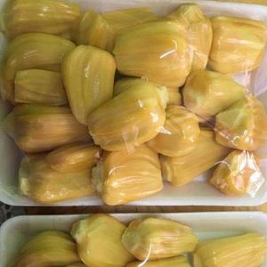 ขนุนแช่แข็งพรีเมียม IQF คัดสรรอย่างดี ผลไม้หวานเขตร้อน สำหรับชานมไข่มุก สมูทตี้ น้ำผลไม้ ของหวาน ผลิตในเวียดนาม - Product Image 2