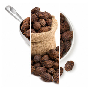 Made In Vietnam International Standard Top Selling Factory Price Delicious Black Cardamom Bulk Supply - Product Image 6