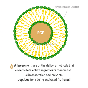 Corea etichetta privata EGF 10ppm pelle booster ampolla elasticità luminoso siero essenza del viso - Product Image 6