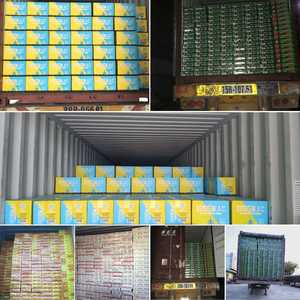 OEM ODM Private Label <b>Beverages</b> Soft Drinks Alcoholic <b>Beverages</b> Watermelon Hard Soda Other Innovative <b>Beverages</b> - Product Image 6