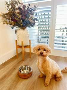 Wholesale Hs Husnain Crafts <b>Dog</b> Cat Feeder with 1 Stainless Steel <b>Bowls</b> and Mango Wood Raised <b>Stand</b> with Removable Insert - Product Image 3