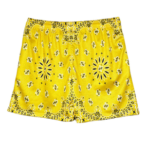 High Quality Wholesale Pattern Polyester 5 Inch Inseam Basketball Mens Paisley Custom Double <b>Layer</b> Mesh Shorts With Drawstring - Product Image 1