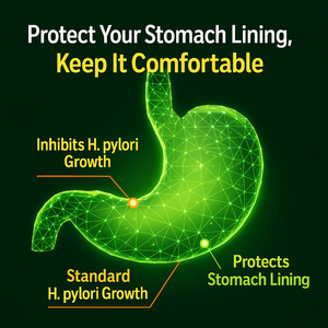 สารสกัดจากรากชะเอมเทศ ผลิตภัณฑ์เสริมอาหารเพื่อสุขภาพกระเพาะอาหารและปกป้องเยื่อเมือก ผลิตในเกาหลี อาหารเสริมเพื่อสุขภาพ - Product Image 2