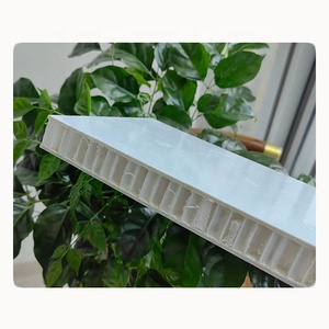 Paneles Sándwich de Espuma de Poliuretano FRP con Gelcoat de Alto Brillo, Panel Lateral para Autocaravanas, Láminas FRP - Product Image 3