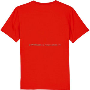 T-shirt unisexe léger en coton de haute qualité, 100% coton premium, impression de logo personnalisée, t-shirt surdimensionné pour homme - Product Image 4