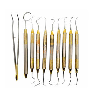 Kit de Herramientas de Higiene Dental Profesional de Acero Inoxidable con Certificación CE, 10 Piezas, Limpieza Completa - Product Image 1