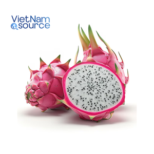 Verse Dragon Fruit van directe leverancier uit Vietnam - Premium Witte Dragon Fruit B2B in bulk - Dragon Fruit fabrikant leverancier