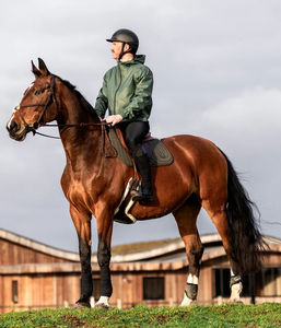 Almohadillas de Montar a Caballo Personalizadas al por Mayor, Almohadillas de Montar a Caballo Acolchadas de Algodón Inglés de Primera Calidad, Cómodas - Product Image 3
