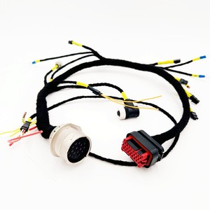 Otomobil Kullanımı İçin PTFE ve PVC İzolasyonlu Özel Otomotiv Motor Kablo Demeti Kitleri - Product Image 4