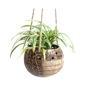 Offre Spéciale 2025 – Bol en Coque de Noix de Coco de Style Bohème Vietnamien, Couleur Naturelle, Pot de Fleurs Écologique et Durable pour Fêtes (Vente en Gros) - Product Image 4