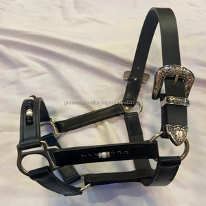 <b>Top</b> Trending <b>Leather</b> Horse <b>Halter</b> With Multicolor Beads & Crystals Work Customized Horse Products <b>Leather</b> Horse <b>Halter</b> All Sizes - Product Image 4