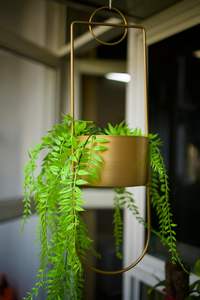 Suspension de pot de fleurs en métal pour décoration intérieure, balcon, fenêtre, salon, support de plantes, finition noire moderne, tendances minimalistes - Product Image 3