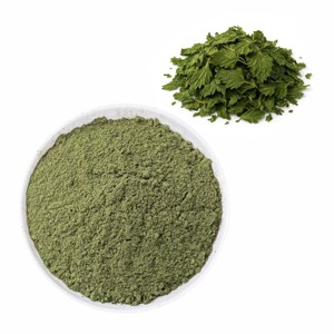 Poudre de feuilles d'ortie finement moulue 100% naturelle de qualité alimentaire – Qualité en vrac pour un soutien quotidien à la nutrition et au bien-être - Product Image 3