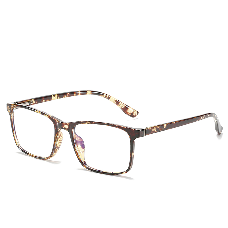 C2: Tortuga/ Transparente