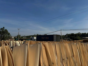 Plaques de placage en bois de caoutchouc 100 % naturel coupées à la rotative - Écologiques et durables, design industriel pour meubles d'intérieur - Product Image 5