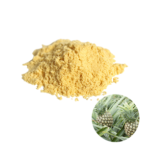 Poudre de peau d'ananas de qualité supérieure, prix compétitif, fabriquée au Vietnam, emballée en sac de 20 kg, best-seller - Product Image 1