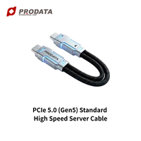 Kabel MCIO 4X SFF-TA-1016 ke SFF-TA-1016 Gen5 untuk Cluster Pelatihan AI