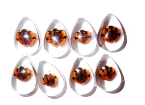 Cabochon Six Star Ladybird Beetle Pear Shape cut <b>top</b> 25x17 mm Clear Flat Bottom for Crafts and Jewelry Making - Product Image 6