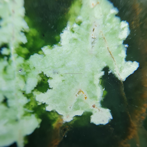 อัญมณีคาโบชองโครเมี่ยมธรรมชาติอัญมณีหลวมหินขัดมันทำด้วยมือสำหรับการทำเครื่องประดับและการห่อลวด - Product Image 5