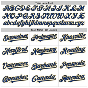 <b>Elite</b> Baseball Jersey Button Front Premium Bird Eye Mesh Quick Dry Team Apparel Custom Branding Private Label Worldwide Export - Product Image 4
