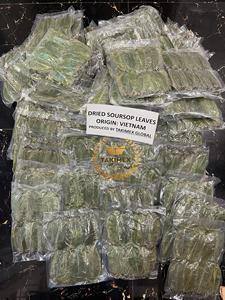 Feuilles de corossol séchées vertes naturelles de belle couleur feuille de graviola meilleur matériau pour laisser le thé origine Vietnam - Product Image 6