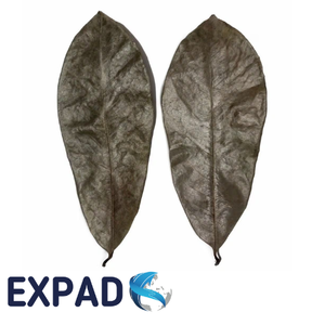 Feuilles de corossol séchées en vrac, couleur verte naturelle et texture de feuille entière, idéales pour la production de tisanes et l'exportation internationale - Product Image 1