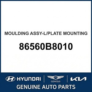 ซานตาเฟ่ ชุดแต่งตัวถังและขอบประตูรุ่นใหม่ 86560B8010 - Product Image 1