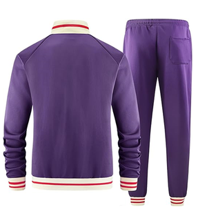 Unisex <b>Purple</b> Tracksuit Set Full-Zip Turn-Down Collar Striped Sporty Jogging <b>Suit</b> with Side Pockets Autumn Wear Regular Fit - Product Image 6