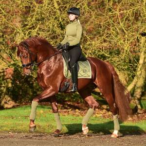 Voile anti-mouches pour chevaux de haute qualité, insonorisant, en polyester, avec logo et emballage personnalisés, faible MOQ - Product Image 4