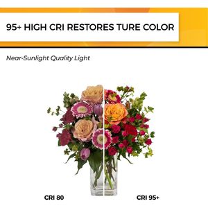 Lampadina LED Vintage Edison Dimmerabile 6W Equivalente a 60W, Luce Bianca Calda 3000K, Attacco E26, 700LM, Certificata UL, Alto CRI 95+ - Product Image 6