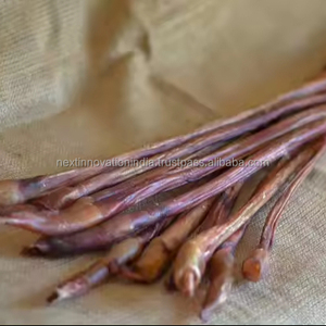 ขนมสุนัขแบบแท่งเนื้อออร์แกนิคชั้นนำสำหรับสุนัข - Product Image 1