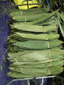 Proveedor Mayorista de Hojas de Bambú Frescas Premium de Vietnam para Envoltura y Empaque de Alimentos Tradicionales - Sra. Grace - Product Image 5