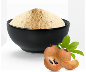 Chikoo lyophilisé au goût sucré, emballé sous vide, en vrac, pour smoothies et pâtisseries - Product Image 4