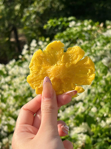 Rondelles d'ananas séchées moelleuses - Product Image 2