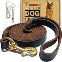 Laisse pour chien robuste en cuir véritable de qualité supérieure, laisse de dressage pour chien, corde de course, laisse en cuir à glissière pour chien