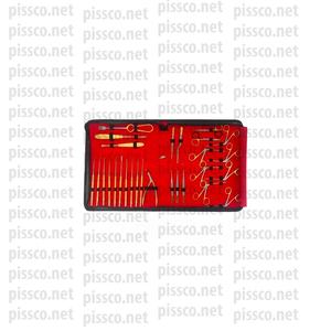 Meilleur fabricant Pissco pour chirurgie Mastoid, ensemble de 30 Instruments en acier inoxydable allemand, produit personnalisé - Product Image 1