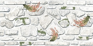 Carreaux muraux Premium Choice de qualité supérieure, carreaux d'élévation Asia Tiles 300x600mm pour articles de santé. - Product Image 4