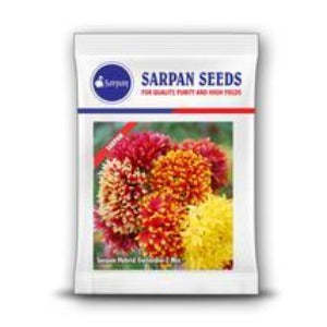 -2 - Product Image 1