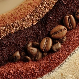 เมล็ดกาแฟโรบัสต้าคั่วเกรดพรีเมียม S16 ผู้ผลิตบรรจุภัณฑ์ขายปลีกแบบ OEM สำหรับผู้ซื้อกาแฟระดับโลก - Product Image 1