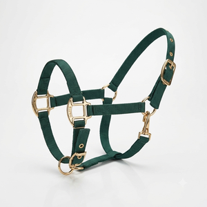 Harnais pour cheval en nylon de qualité supérieure, entièrement réglable, avec des accessoires chromés robustes et une fabrication de qualité. - Product Image 6