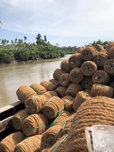 เชือกเส้นใยมะพร้าวจากประเทศเวียดนามสำหรับการสนับสนุนต้นไม้ฟาร์มดอกไม้และโครงการสวนนิเวศด้วยข้อมูลทองคำ99รายการ - Product Image 6