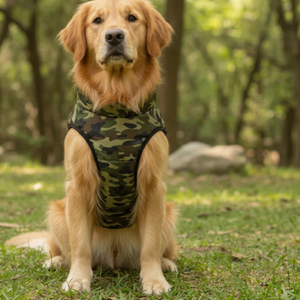 Chaleco Personalizado para Perro de Poliéster, Ropa para Mascotas al por Mayor con Logotipo - Product Image 2