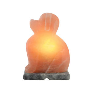 Lámpara de Sal de Primera Calidad con Forma de Animal, Color Natural, Material Orgánico, Hecha a Mano, Tacto Real, Tamaño Personalizado, Alta Calidad, Directamente de Pakistán - Product Image 1