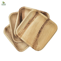 Ecologisch afbreekbare luxe, magnetronbestendige, wegwerpbaar, 9 inch vierkante dinerborden met plantenmotief, gemaakt van palmblad.