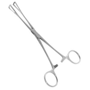 Pinzas para Tejidos y Órganos Collin, Tamaño Personalizado, Instrumentos Quirúrgicos de Acero Inoxidable, Pinzas Duval para Intestinos - Product Image 5